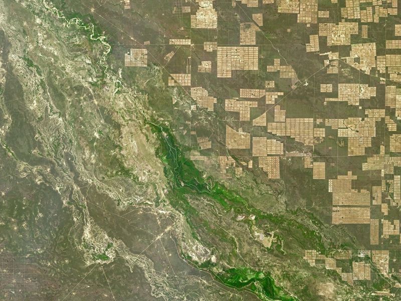Satellite image of deforestation in the Amazon Rainforest. Credit: NASA